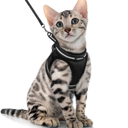 Picture of rabbitgoo Cat Harness and Leash Set for Walking Escape Proof, Adjustable Soft Kittens Vest with Reflective Strip for Cats, Comfortable Outdoor Vest, Black, XL