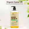 Picture of Botanic Hearth Castor Oil | USDA Certified Organic |100% Pure & Hexane Free | Cold Pressed | Growth for Eyelashes, Eyebrows, Hair | 8fl oz