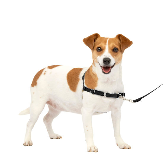 Picture of PetSafe Easy Walk No-Pull Dog Harness - The Ultimate Harness to Help Stop Pulling - Take Control & Teach Better Leash Manners - Helps Prevent Pets Pulling on Walks, Small, Black/Silver