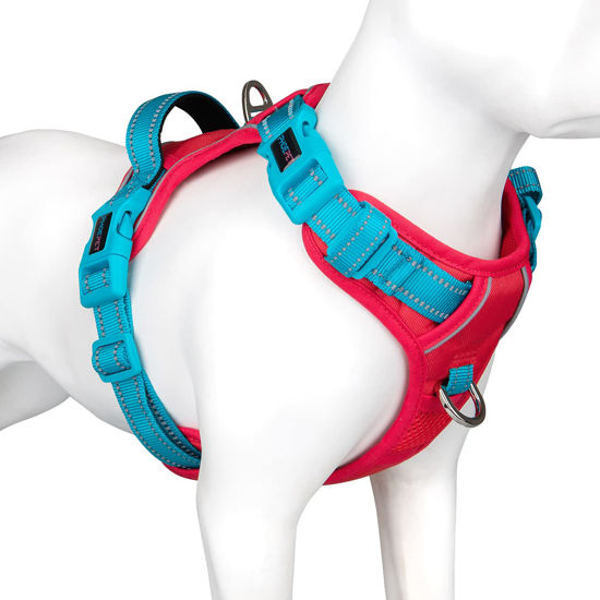 Picture of PHOEPET No Pull Dog Harness, Unique Colors Reflective Adjustable Dog Vest, with Soft Training Handle Metal Clips for Small Medium Large Dogs (Red Base & Teal Straps,XS)