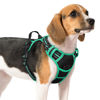 Picture of rabbitgoo Dog Harness, No-Pull Pet Harness with 2 Leash Clips, Adjustable Soft Padded Dog Vest, Reflective No-Choke Pet Oxford Vest with Easy Control Handle for Large Dogs, Black & Turquoise, M