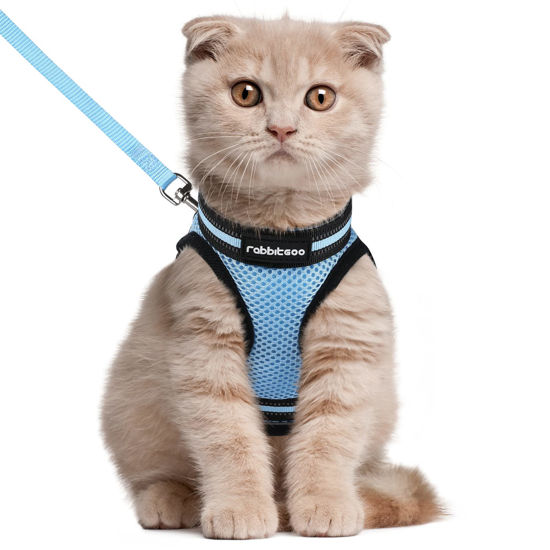 Picture of rabbitgoo Cat Harness and Leash Set for Walking Escape Proof, Adjustable Soft Kittens Vest with Reflective Strip for Cats, Comfortable Outdoor Vest, Light Blue, L