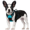 Picture of rabbitgoo Dog Harness, No-Pull Pet Harness with 2 Leash Clips, Adjustable Soft Padded Dog Vest, Reflective No-Choke Pet Oxford Vest with Easy Control Handle for Large Dogs, Teal, S