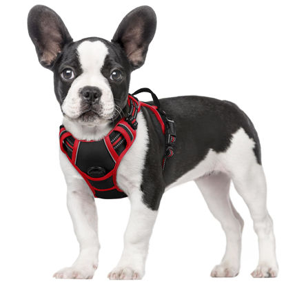 Picture of rabbitgoo Dog Harness, No-Pull Pet Harness with 2 Leash Clips, Adjustable Soft Padded Dog Vest, Reflective No-Choke Pet Oxford Vest with Easy Control Handle for Large Dogs, Black & Red, S