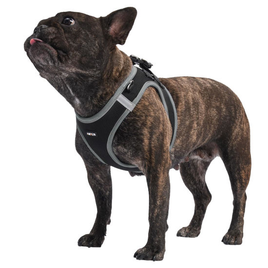 Picture of AMTOR Dog Harness with Leash Set,No Pull Adjustable Reflective Puppy Harness with Padded Vest for Extra-Small/Small Medium Large Dogs and Cats(Black/Grey)