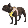 Picture of AMTOR Dog Harness with Leash Set,No Pull Adjustable Reflective Puppy Harness with Padded Vest for Extra-Small/Small Medium Large Dogs and Cats(Yellow)