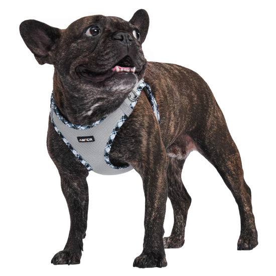 Picture of AMTOR Dog Harness with Leash Set,No Pull Adjustable Reflective Puppy Harness with Padded Vest for Extra-Small/Small Medium Large Dogs and Cats(Grey)