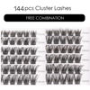 Picture of Lash Clusters DIY Lash Extensions Kit 144 Individual Lashes Clusters Eyelash Extensions Kit with Applicator and Lash Bond & Seal, Clusters Lash Glue Remover Mix 10-16mm C D Curl EASY TO USE-DM17