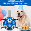 Picture of QDAN Dog Ropes Toys Soccer Ball with Straps, Interactive Dog Toys for Tug of War, Puppy Birthday Gifts, Dog Tug Toy, Dog Water Toy, Durable Dog Balls for Small & Medium Dogs-Blue&Grey（6 Inch）