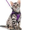 Picture of rabbitgoo Cat Harness and Leash Set for Walking Escape Proof, Adjustable Soft Kittens Vest with Reflective Strip for Cats, Comfortable Outdoor Vest, Purple, XL