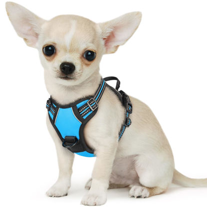 Picture of Eagloo Small Dog Harness No Pull, Service Vest with Reflective Strips and Control Handle, Adjustable and Comfortable for Easy Walking, No Choke Pet Harness with 2 Metal Rings, Sky Blue, XS