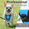 Picture of Eagloo Small Dog Harness No Pull, Service Vest with Reflective Strips and Control Handle, Adjustable and Comfortable for Easy Walking, No Choke Pet Harness with 2 Metal Rings, Sky Blue, XS