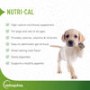 Picture of Vetoquinol Nutri-Cal 4.25 Oz - High Calorie Supplement for Cats and Dogs