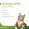 Picture of Vetoquinol Nutri-Cal 4.25 Oz - High Calorie Supplement for Cats and Dogs