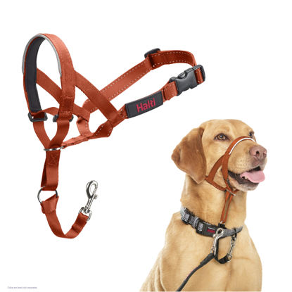 Picture of HALTI Headcollar - to Stop Your Dog Pulling on The Leash. Adjustable, Reflective and Lightweight, with Padded Nose Band. Dog Training Anti-Pull Collar for Medium Dogs (Size 3, Burnt Orange)