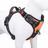 Picture of PHOEPET No Pull Dog Harnesses for Small Dogs Reflective Adjustable Front Clip Vest with Handle 2 Metal Rings 3 Buckles [Easy to Put on & Take Off] (XS, Orange)