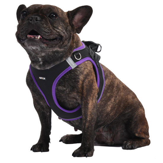 Picture of AMTOR Dog Harness with Leash Set,No Pull Adjustable Reflective Puppy Harness with Padded Vest for Extra-Small/Small Medium Large Dogs and Cats(Black/Purple,XL)