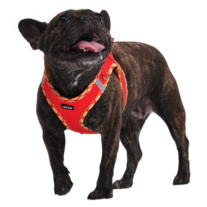 Picture of AMTOR Dog Harness with Leash Set,No Pull Adjustable Reflective Puppy Harness with Padded Vest for Extra-Small/Small Medium Large Dogs and Cats(Red,XL)