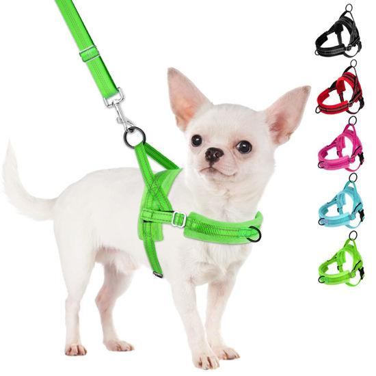 Picture of SlowTon No Pull Small Dog Harness and Leash Set, Puppy Soft Vest Harness Neck & Chest Adjustable, Reflective Lightweight Harness & Anti-Twist Pet Lead Combo for Small Medium Dogs (G- Front Clip,S)