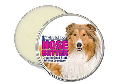 Picture of The Blissful Dog Collie Nose Butter, 4-Ounce