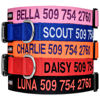 Picture of GoTags Personalized Dog Collar, Custom Embroidered with Pet Name and Phone Number in Blue, Black, Pink, Red and Orange, for Boy and Girl Dogs or Cats, Adjustable Sizes, Small, Medium, and Large