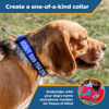 Picture of GoTags Personalized Dog Collar, Custom Embroidered with Pet Name and Phone Number in Blue, Black, Pink, Red and Orange, for Boy and Girl Dogs or Cats, Adjustable Sizes, Small, Medium, and Large