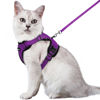 Picture of rabbitgoo Cat Harness and Leash for Walking, Escape Proof Soft Adjustable Vest Harnesses for Cats, Easy Control Breathable Reflective Strips Jacket, Purple, M