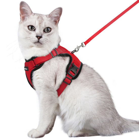 Picture of rabbitgoo Cat Harness and Leash for Walking, Escape Proof Soft Adjustable Vest Harnesses for Cats, Easy Control Breathable Reflective Strips Jacket, Red, M