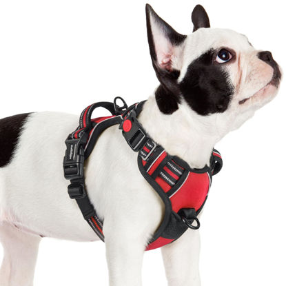 Picture of rabbitgoo Dog Harness Small Sized, No Pull Pet Harness with 3 Buckles, Adjustable Soft Padded Dog Vest with Instant Control Handle, Easy Walking Reflective Pet Vest for Small Dogs, Red, S