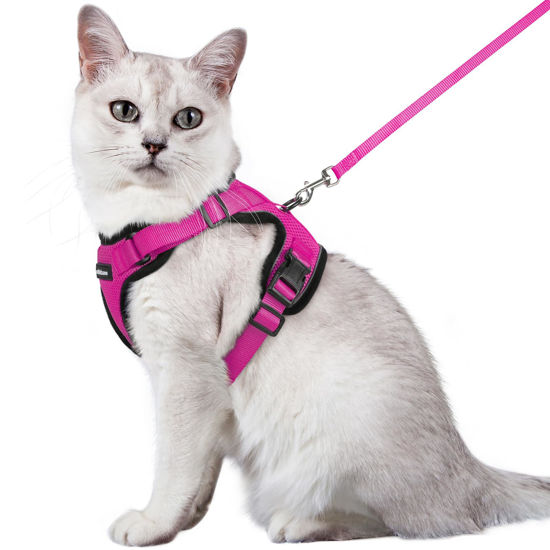 Picture of rabbitgoo Cat Harness and Leash for Walking, Escape Proof Soft Adjustable Vest Harnesses for Cats, Easy Control Breathable Reflective Strips Jacket, Rose Red, M