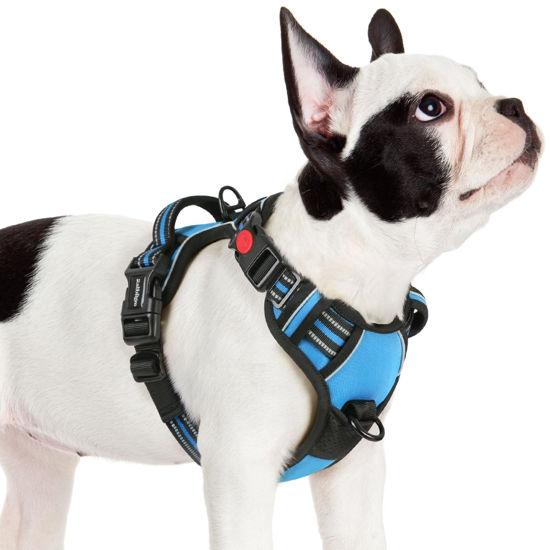 Picture of rabbitgoo Dog Harness Small Sized, No Pull Pet Harness with 3 Buckles, Adjustable Soft Padded Dog Vest with Instant Control Handle, Easy Walking Reflective Pet Vest for Small Dogs, Sky Blue, S