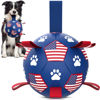 Picture of QDAN Dog Toys Soccer Ball with Straps - Durable Dog Balls for Small Medium Dogs, Beach Pool Dog Water Toy, Dog Tug Toys for Tug of War, Puppy Dog Birthday Gifts, Purple (6 Inch)