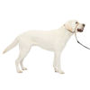 Picture of PetSafe Gentle Leader No-Pull Dog Headcollar - The Ultimate Solution to Pulling - Redirects Your Dog's Pulling for Easier Walks - Helps You Regain Control - Large, Fawn