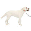 Picture of PetSafe Gentle Leader No-Pull Dog Headcollar - The Ultimate Solution to Pulling - Redirects Your Dog's Pulling for Easier Walks - Helps You Regain Control - Large, Red