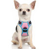 Picture of rabbitgoo Dog Harness, No-Pull Pet Harness with 2 Leash Clips, Adjustable Soft Padded Dog Vest, Reflective No-Choke Pet Oxford Vest with Easy Control Handle for Large Dogs, Pink & Blue, X-Small