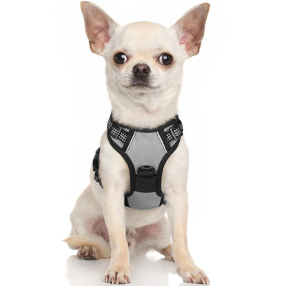 Picture of rabbitgoo Dog Harness, No-Pull Pet Harness with 2 Leash Clips, Adjustable Soft Padded Dog Vest, Reflective No-Choke Pet Oxford Vest with Easy Control Handle for Small Dogs, Grey, XS