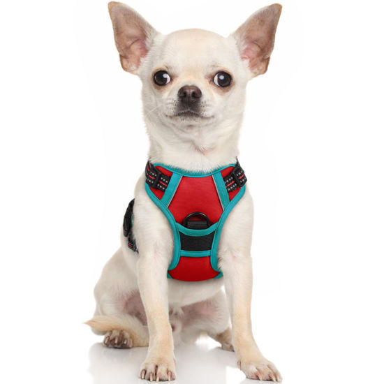 Picture of rabbitgoo Dog Harness, No-Pull Pet Harness with 2 Leash Clips, Adjustable Soft Padded Dog Vest, Reflective No-Choke Pet Oxford Vest with Easy Control Handle for Large Dogs, Red & Teal, X-Small