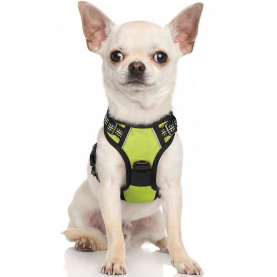 Picture of rabbitgoo Dog Harness, No-Pull Pet Harness with 2 Leash Clips, Adjustable Soft Padded Dog Vest, Reflective No-Choke Pet Oxford Vest with Easy Control Handle for Small Dogs, Green, XS