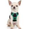 Picture of rabbitgoo Dog Harness, No-Pull Pet Harness with 2 Leash Clips, Adjustable Soft Padded Dog Vest, Reflective No-Choke Pet Oxford Vest with Easy Control Handle for Large Dogs, Black & Turquoise, X-Small