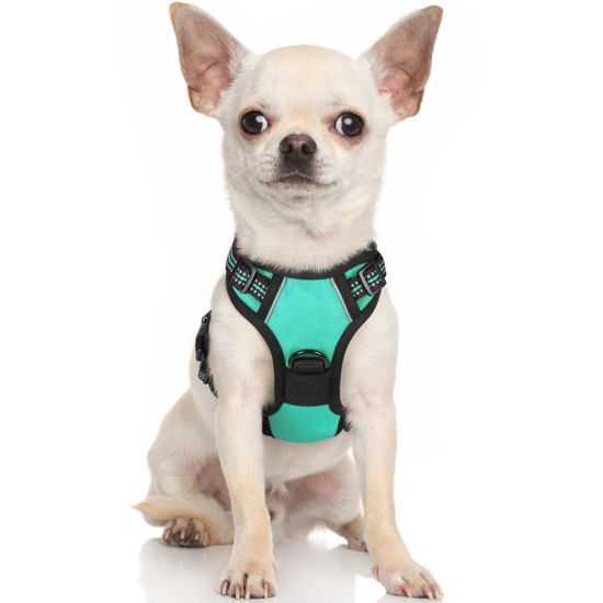 Picture of rabbitgoo Dog Harness, No-Pull Pet Harness with 2 Leash Clips, Adjustable Soft Padded Dog Vest, Reflective No-Choke Pet Oxford Vest with Easy Control Handle for Small Dogs, Turquoise, XS