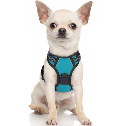 Picture of rabbitgoo Dog Harness, No-Pull Pet Harness with 2 Leash Clips, Adjustable Soft Padded Dog Vest, Reflective No-Choke Pet Oxford Vest with Easy Control Handle for Large Dogs, Teal, X-Small