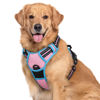 Picture of rabbitgoo Dog Harness, No-Pull Pet Harness with 2 Leash Clips, Adjustable Soft Padded Dog Vest, Reflective No-Choke Pet Oxford Vest with Easy Control Handle for Large Dogs, Pink & Blue, XL