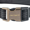 Picture of Carhartt Dog Collar Black/Brushed Brass, Large