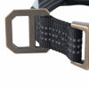 Picture of Carhartt Dog Collar Black/Brushed Brass, Large