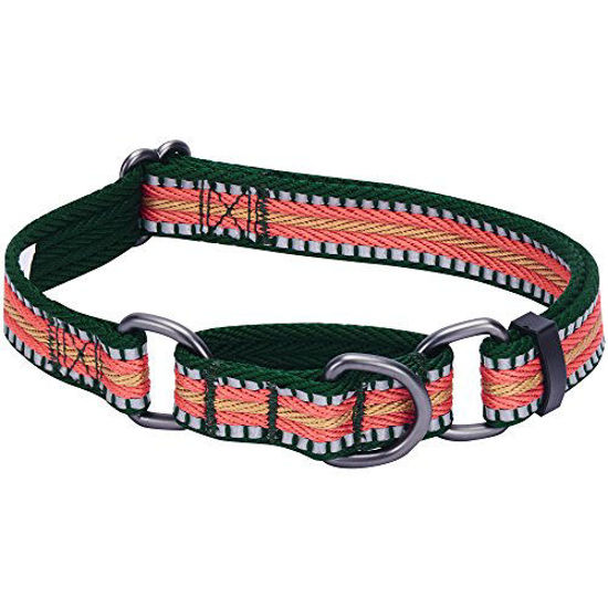 Picture of Blueberry Pet 8 Colors 3M Reflective Multi-Colored Stripe Safety Training Martingale Dog Collar, Dark Green and Pink, Large, Heavy Duty Adjustable Collars for Dogs