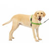 Picture of PetSafe Easy Walk Dog Harness - No Pull Dog Harness - Large, Apple Green