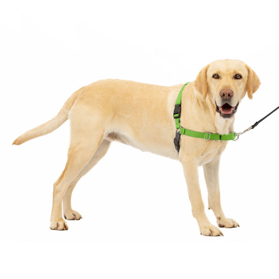 Picture of PetSafe Easy Walk Dog Harness - No Pull Dog Harness - Large, Apple Green