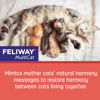 Picture of FELIWAY MultiCat Calming Pheromone, 30 Day Refill - 1 Pack