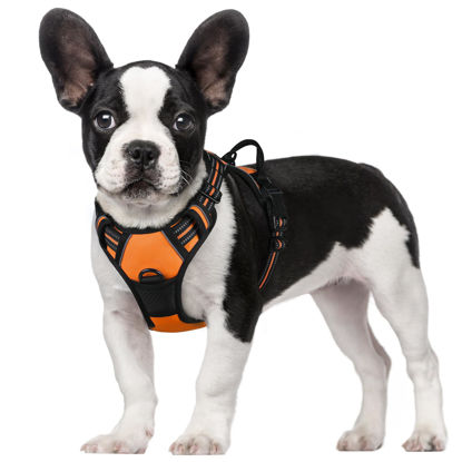 Picture of rabbitgoo Dog Harness, No-Pull Pet Harness with 2 Leash Clips, Adjustable Soft Padded Dog Vest, Reflective No-Choke Pet Oxford Vest with Easy Control Handle for Small Dogs,Orange,S