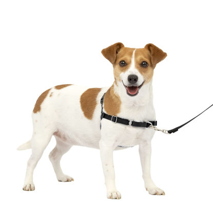 Picture of PetSafe Easy Walk No-Pull Dog Harness - The Ultimate Harness to Help Stop Pulling - Take Control & Teach Better Leash Manners - Helps Prevent Pets Pulling on Walks, Small, Charcoal/Black